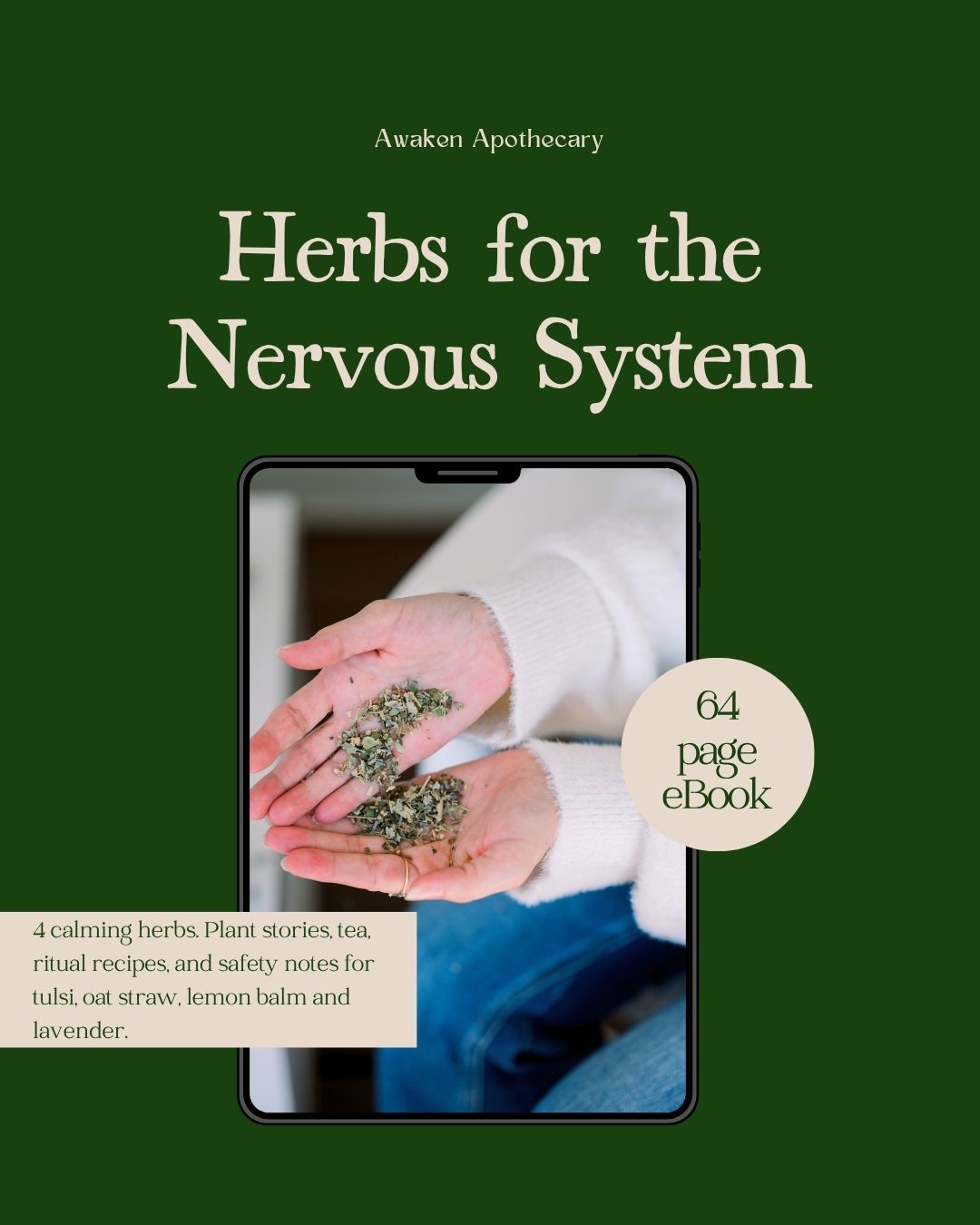 Herbs for the Nervous System